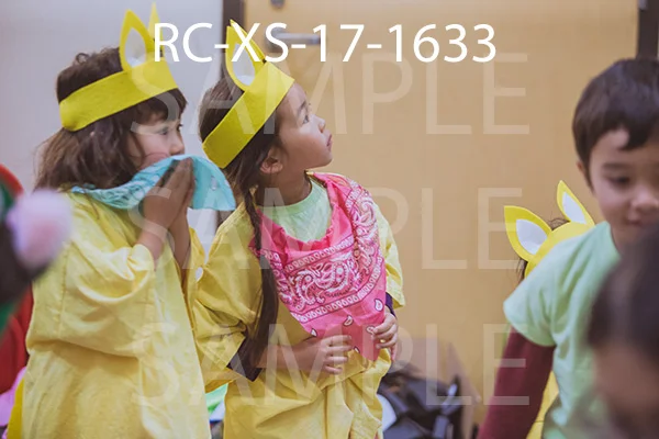 RC-XS-17-1633.jpg