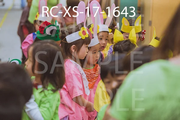 RC-XS-17-1643.jpg