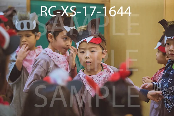 RC-XS-17-1644.jpg