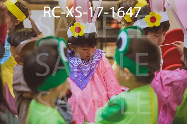 RC-XS-17-1647.jpg