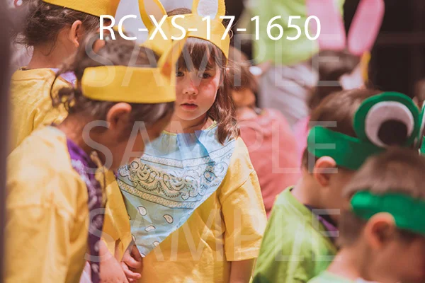 RC-XS-17-1650.jpg