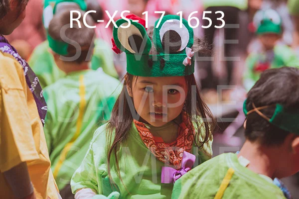 RC-XS-17-1653.jpg