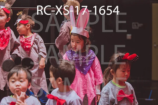 RC-XS-17-1654.jpg