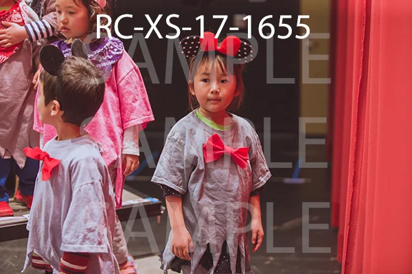 RC-XS-17-1655.jpg