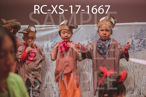 RC-XS-17-1667.jpg