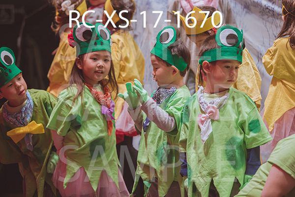 RC-XS-17-1670.jpg