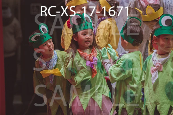 RC-XS-17-1671.jpg