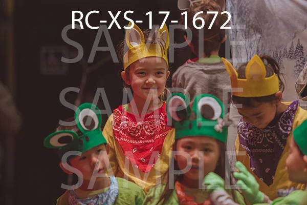 RC-XS-17-1672.jpg
