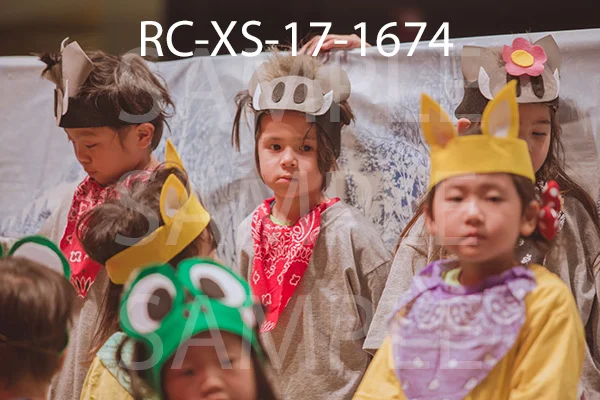 RC-XS-17-1674.jpg
