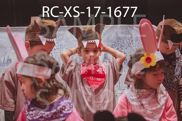 RC-XS-17-1677.jpg