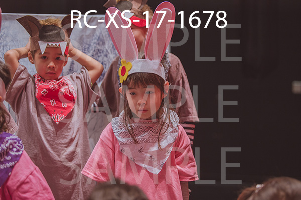 RC-XS-17-1678.jpg
