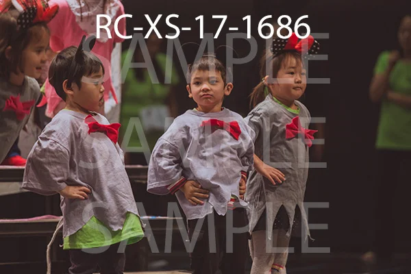 RC-XS-17-1686.jpg