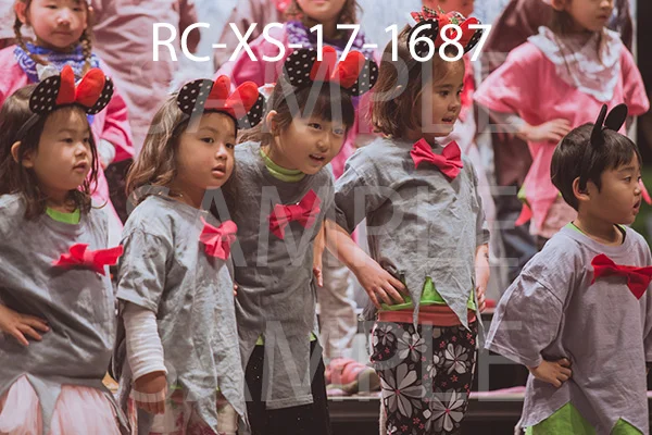 RC-XS-17-1687.jpg