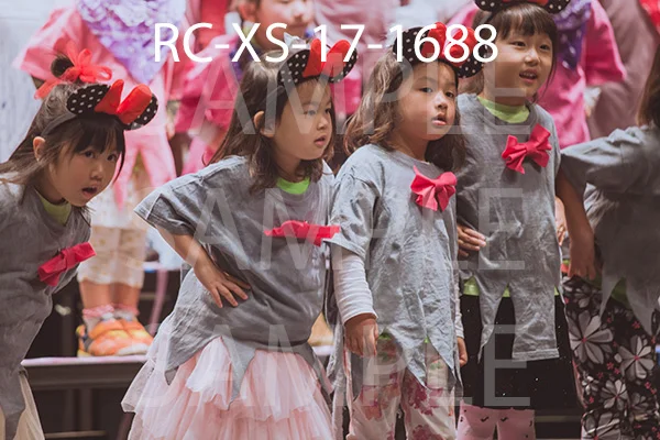 RC-XS-17-1688.jpg