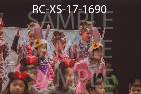 RC-XS-17-1690.jpg