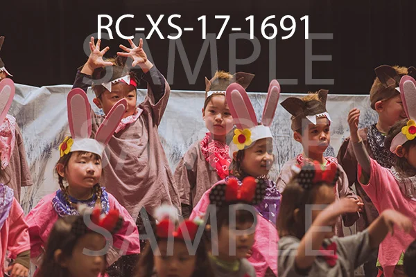 RC-XS-17-1691.jpg
