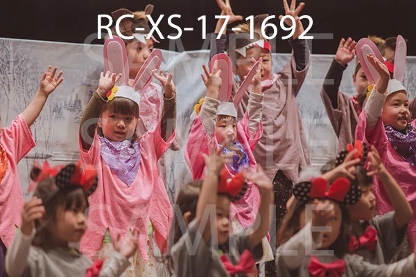 RC-XS-17-1692.jpg