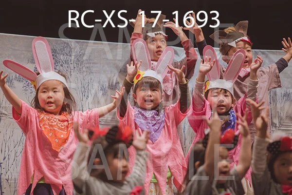 RC-XS-17-1693.jpg