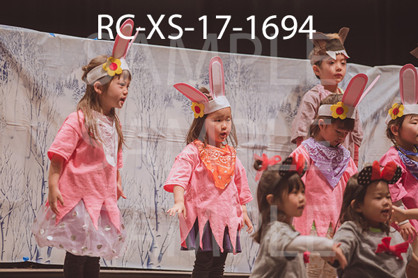 RC-XS-17-1694.jpg