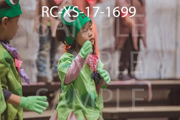RC-XS-17-1699.jpg