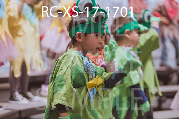 RC-XS-17-1701.jpg