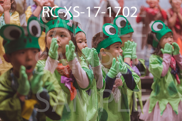 RC-XS-17-1702.jpg