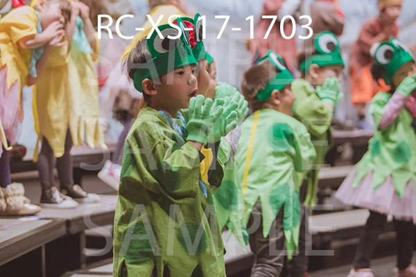 RC-XS-17-1703.jpg