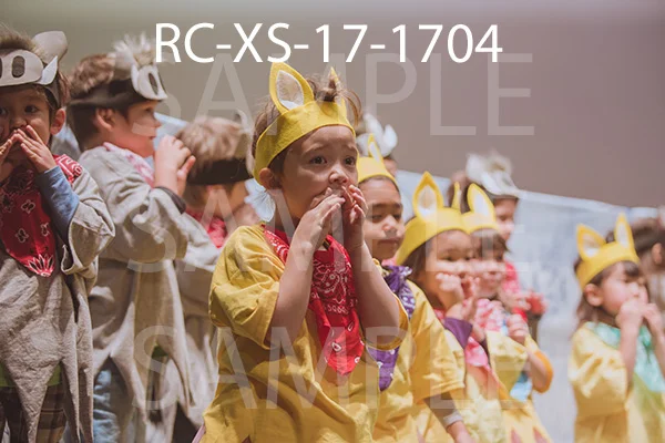 RC-XS-17-1704.jpg