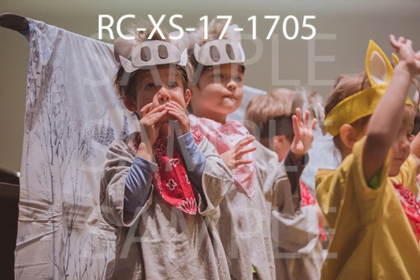 RC-XS-17-1705.jpg