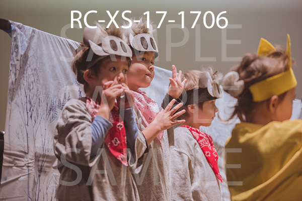 RC-XS-17-1706.jpg