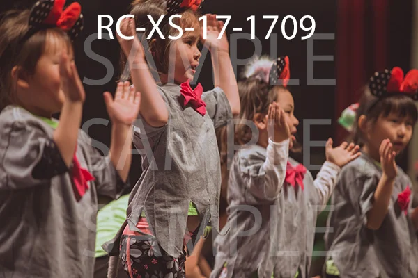RC-XS-17-1709.jpg