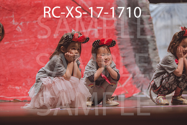 RC-XS-17-1710.jpg