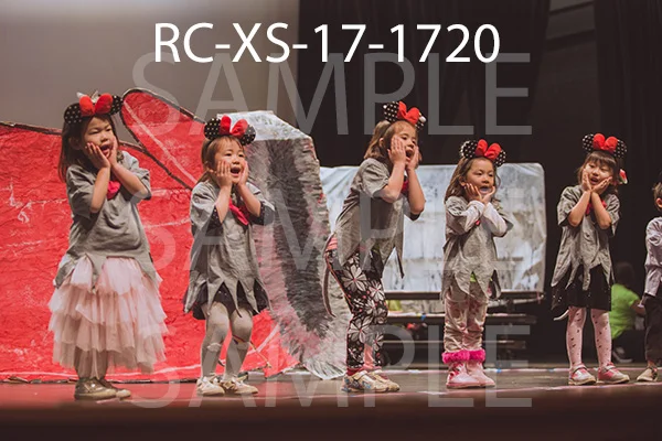 RC-XS-17-1720.jpg