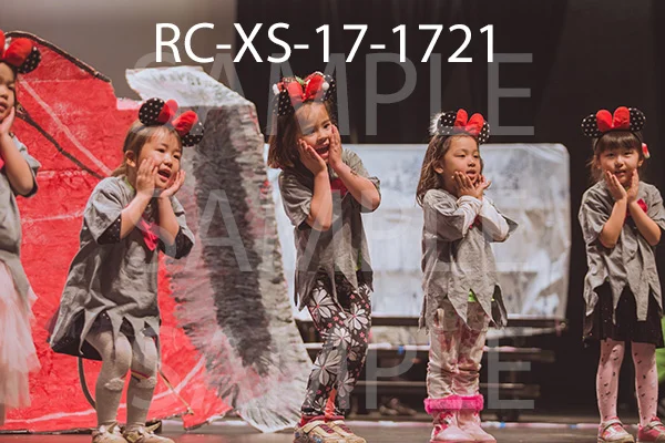 RC-XS-17-1721.jpg