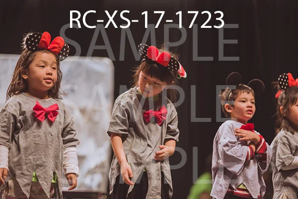 RC-XS-17-1723.jpg