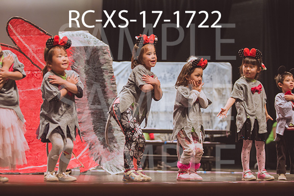 RC-XS-17-1722.jpg