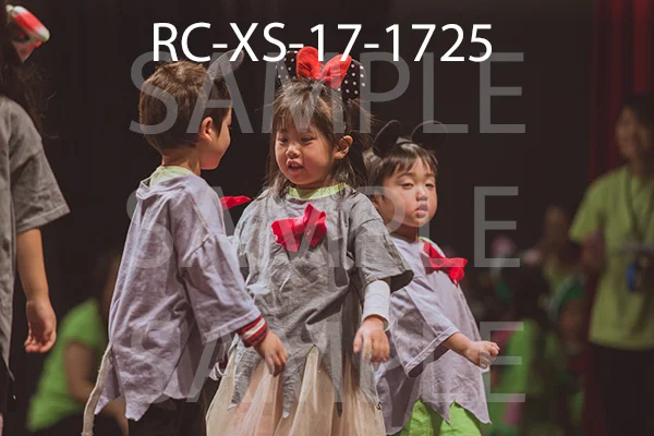 RC-XS-17-1725.jpg