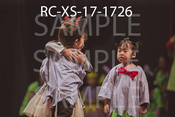 RC-XS-17-1726.jpg