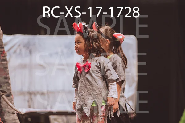 RC-XS-17-1728.jpg