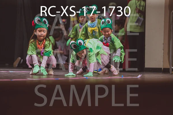 RC-XS-17-1730.jpg