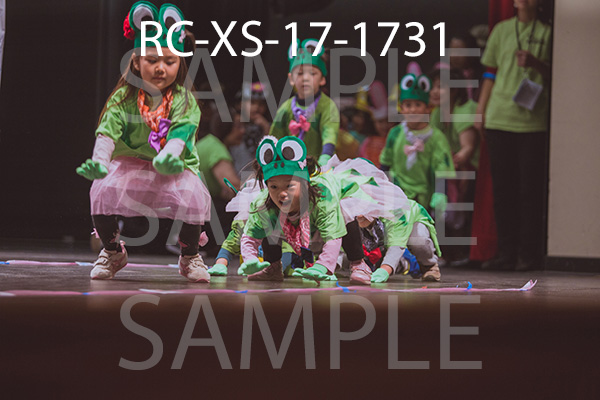 RC-XS-17-1731.jpg