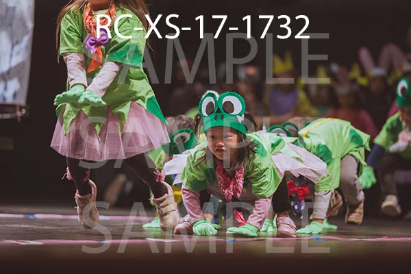 RC-XS-17-1732.jpg