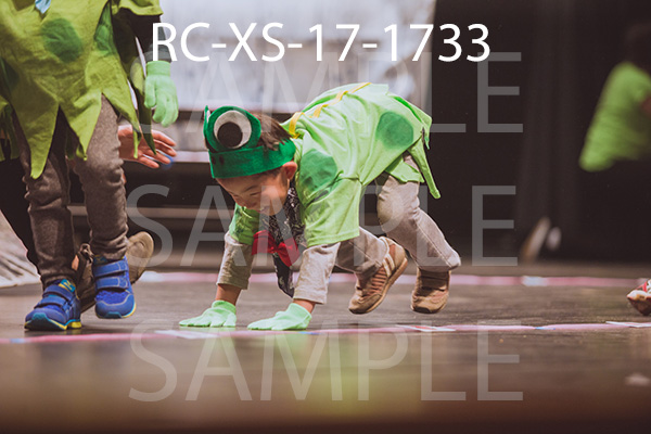 RC-XS-17-1733.jpg