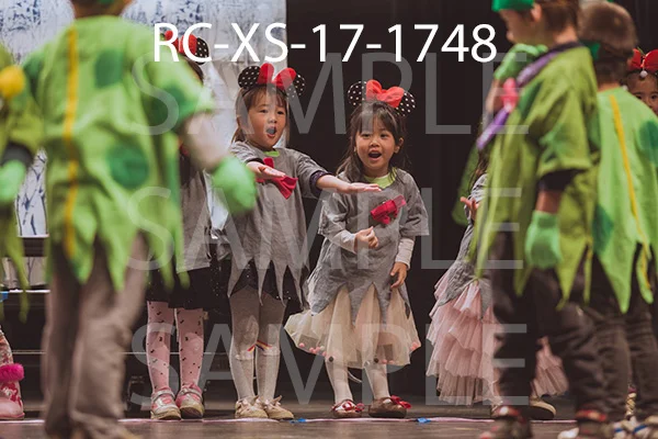 RC-XS-17-1748.jpg