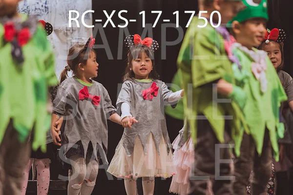 RC-XS-17-1750.jpg