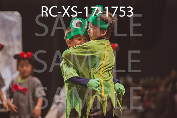 RC-XS-17-1753.jpg