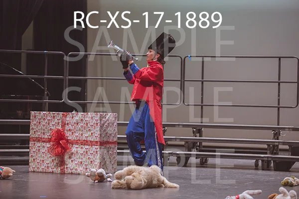 RC-XS-17-1889.jpg