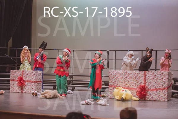 RC-XS-17-1895.jpg