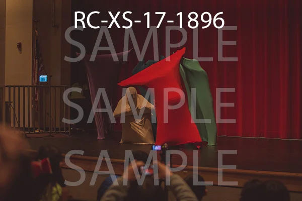 RC-XS-17-1896.jpg
