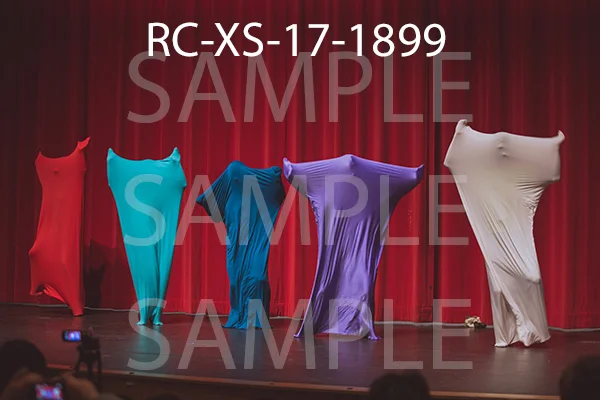 RC-XS-17-1899.jpg